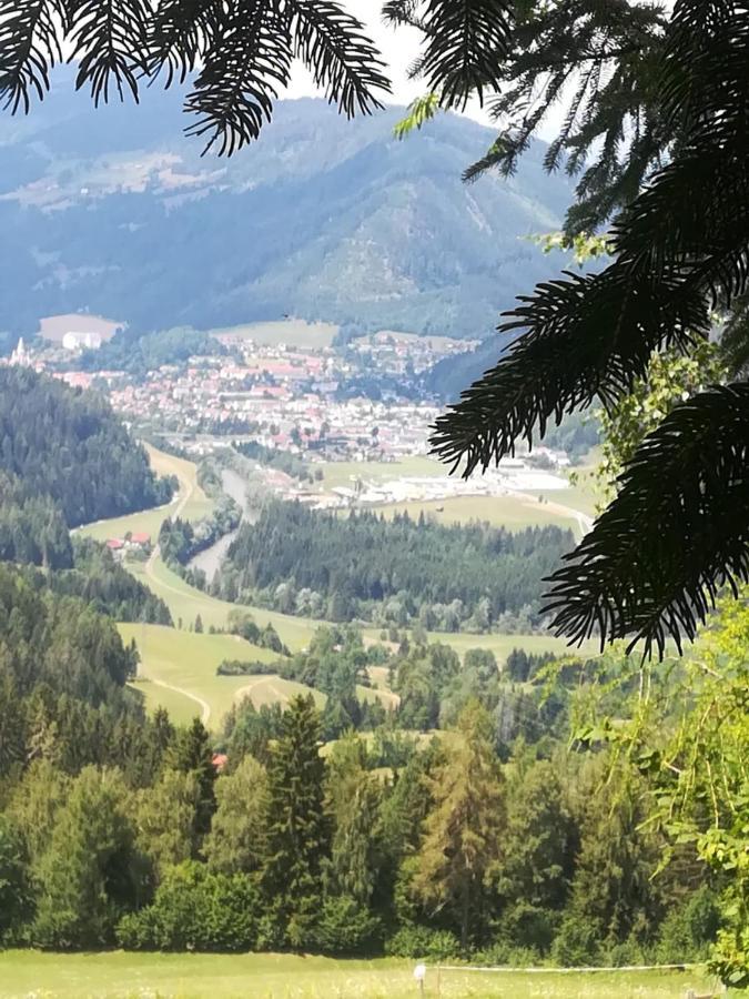 Rainerhof Murau Exterior foto